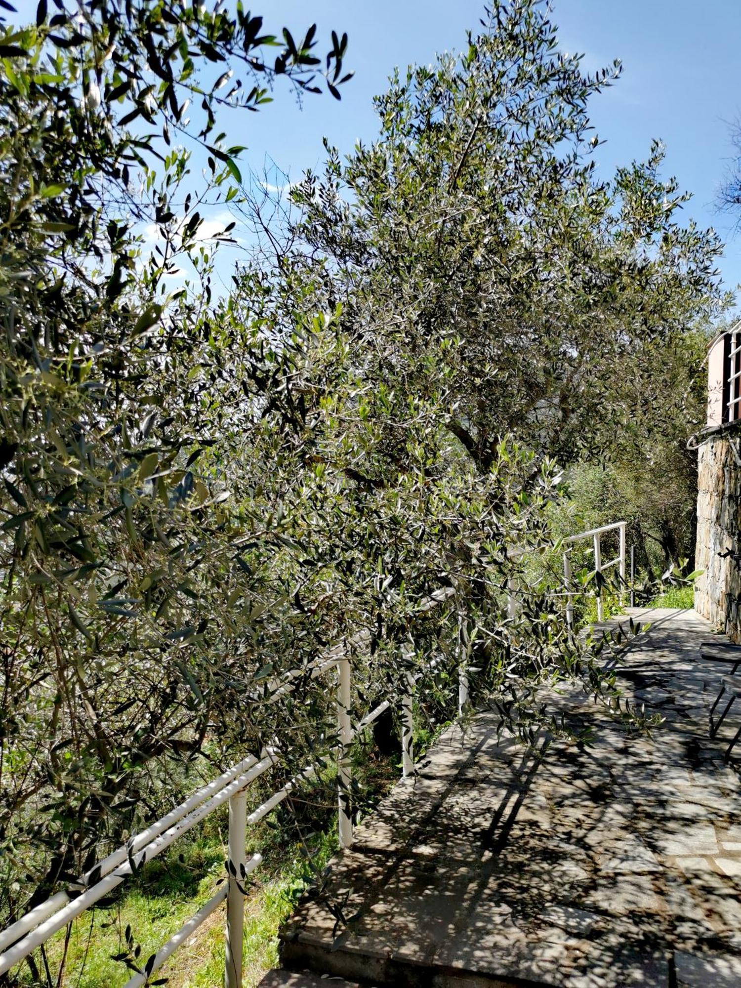 Casun Du Menegottu Βίλα Σέστρι Λεβάντε Εξωτερικό φωτογραφία